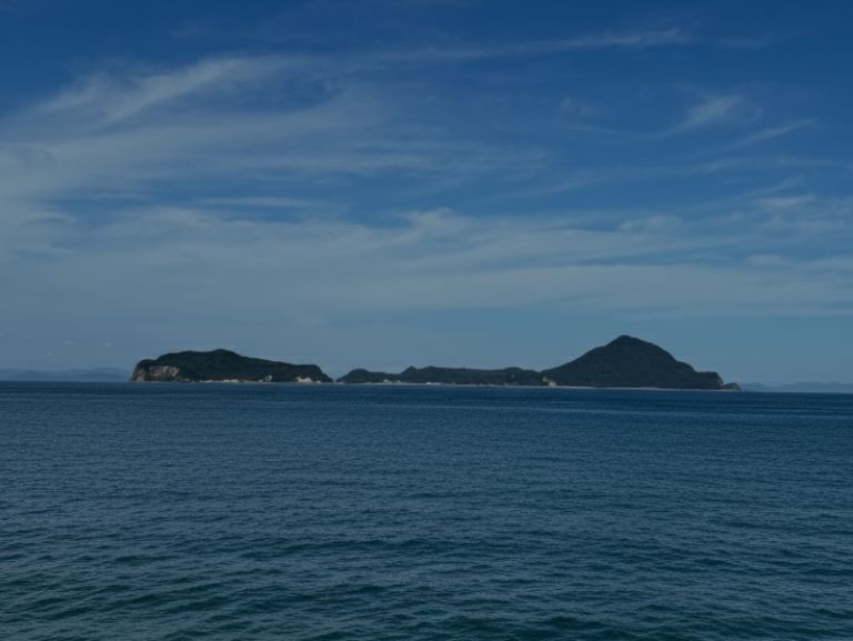 スライドの画像01