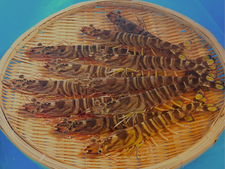 スライドの画像01